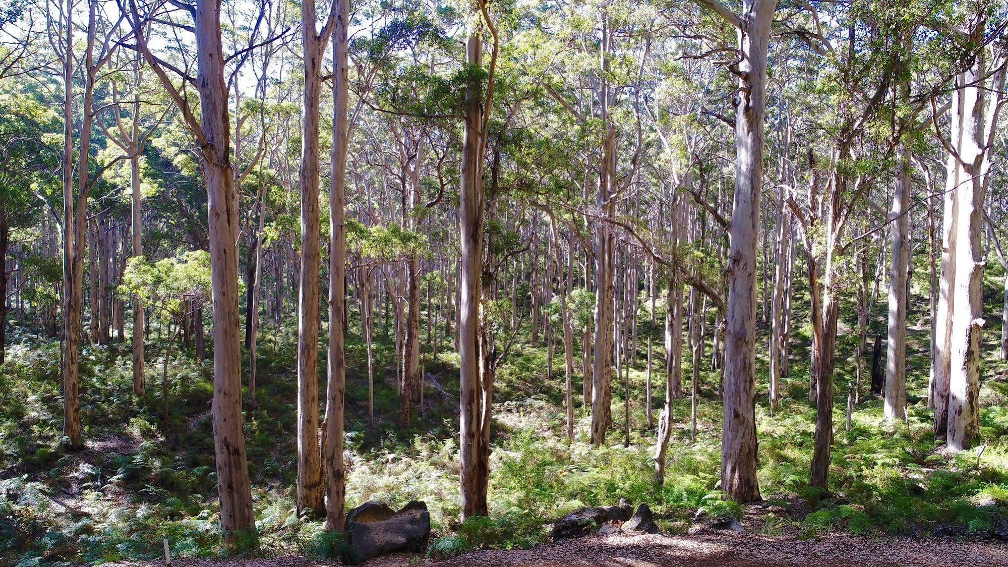 Margaret River Beach Apartments Gnarabup Bagian luar foto